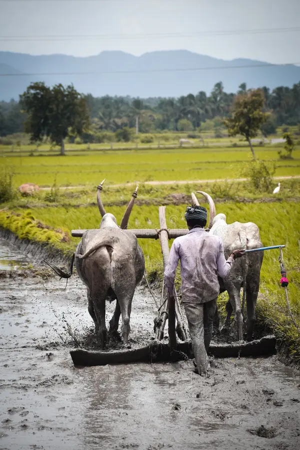 kanti%20Multi%20State%20Agro